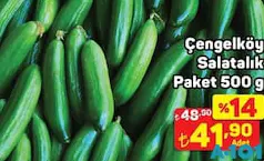 ÇENGELKÖY SALATALIK PAKET 500 G fiyat ve kampanya bilgisi